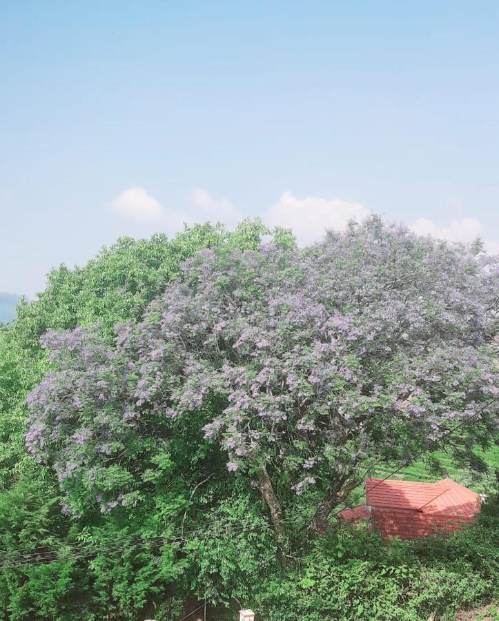 Camellia Heights 1&2 Bed & Breakfast Coonoor Exterior photo