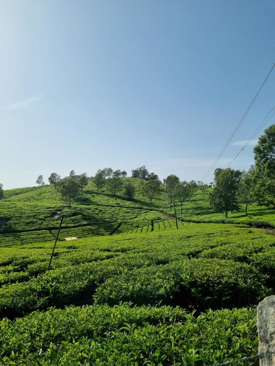 Camellia Heights 1&2 Bed & Breakfast Coonoor Exterior photo